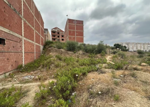 Vente Terrain Blida El affroun