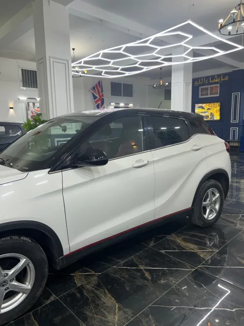 DFSK Fengon 2025 