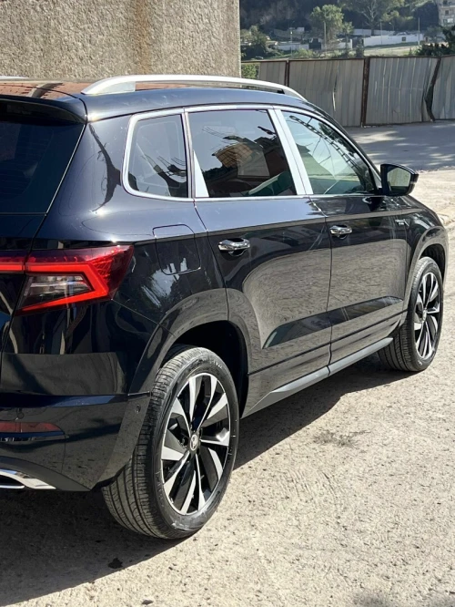 Skoda Karoq 2025 Tout option