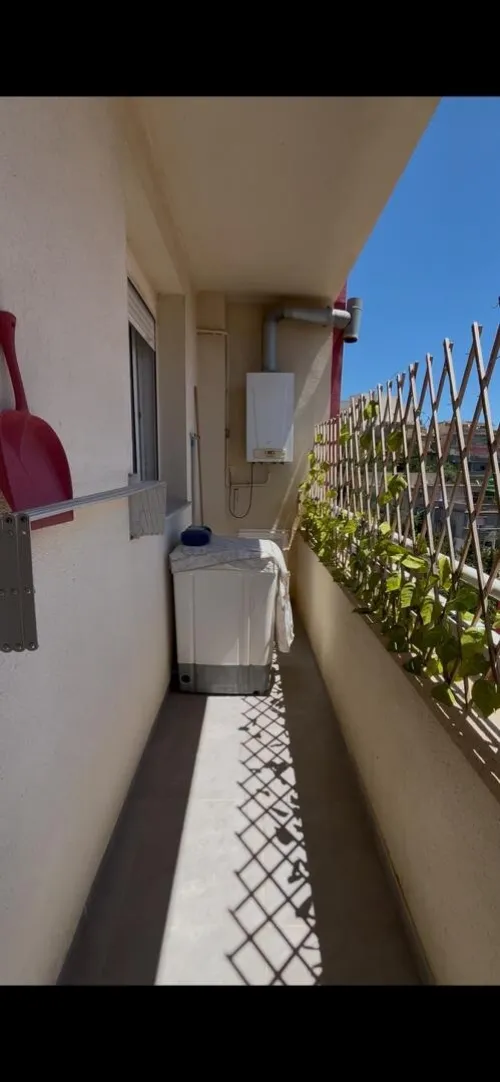 Location Appartement F4 Alger Dely brahim