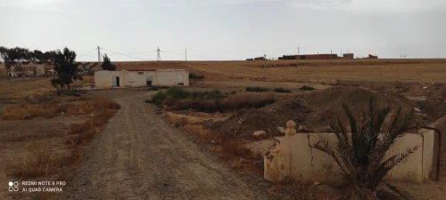 Vente Terrain Sidi Bel Abbès Zerouala