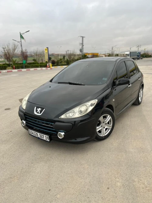 Peugeot 307 CC 2007 307 ess