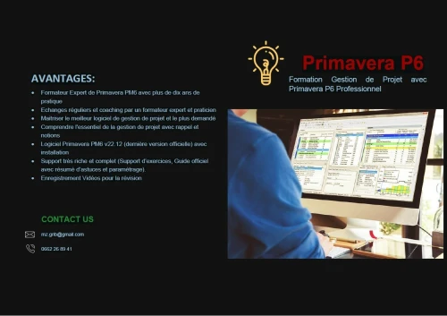 Formation Primavera P6 -visio-conférence / Session week-end