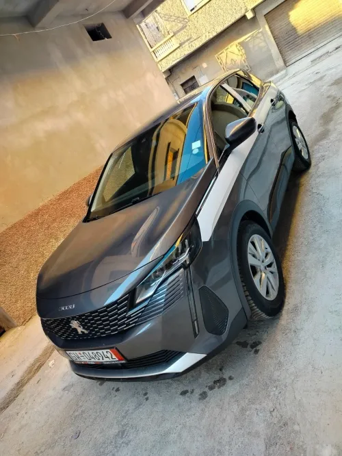 Peugeot 3008 2021 3008