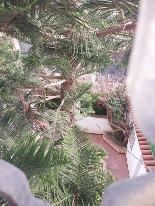 Vente Villa Alger Kouba