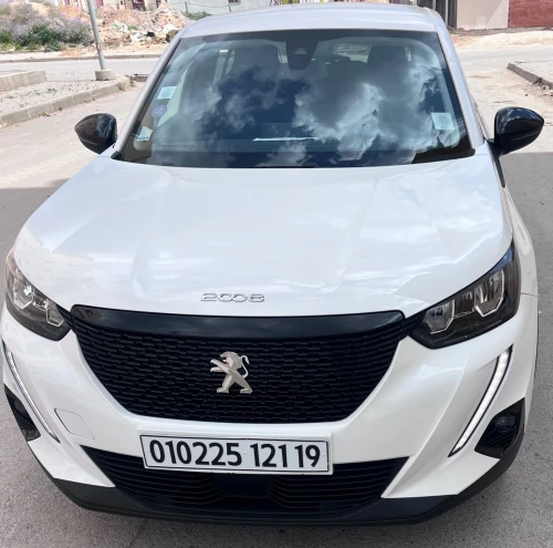 Peugeot 2008 2021 Erg