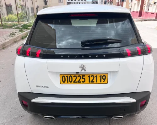 Peugeot 2008 2021 Erg