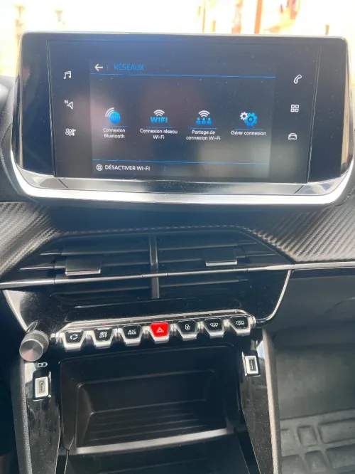 Peugeot 2008 2021 Erg