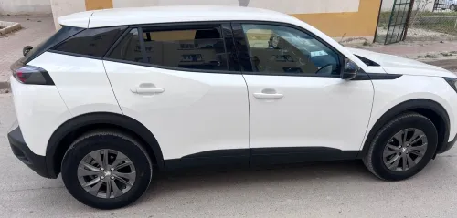 Peugeot 2008 2021 Erg