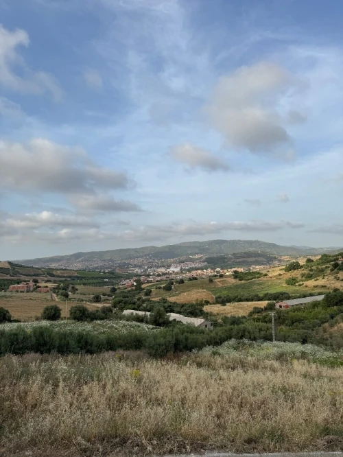 Vente Terrain Boumerdès Larbatache