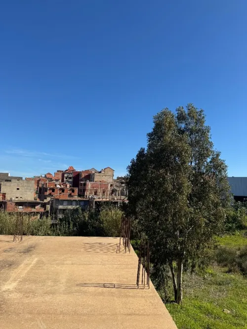 Vente Terrain Boumerdès Ouled moussa