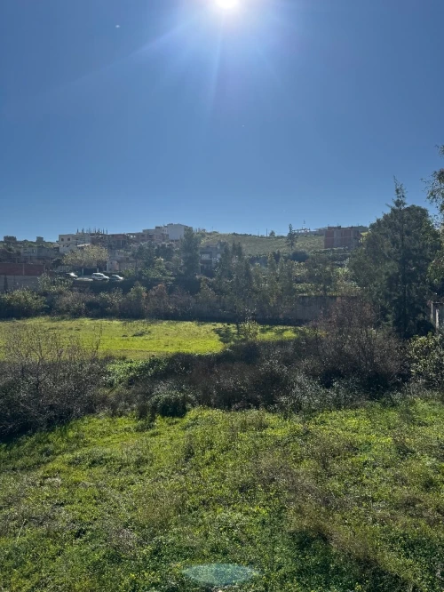 Vente Terrain Boumerdès Ouled moussa