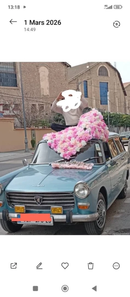 Peugeot 404 1970 404