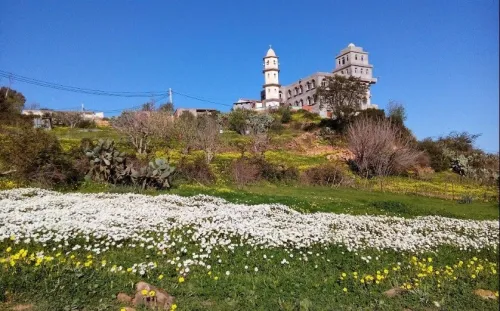 Vente Terrain Béjaïa Oued ghir
