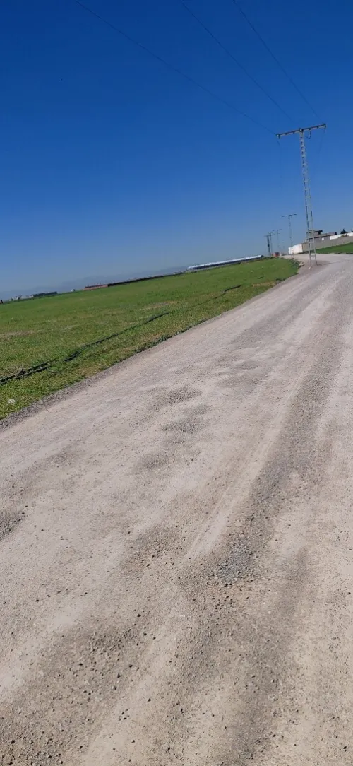 Vente Terrain Agricole Sétif Mezloug
