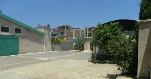 Location Alger Birtouta