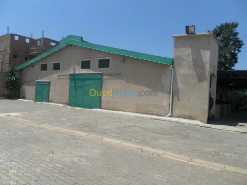 Location Alger Birtouta
