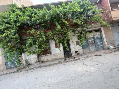Vente Immeuble Setif Guelal