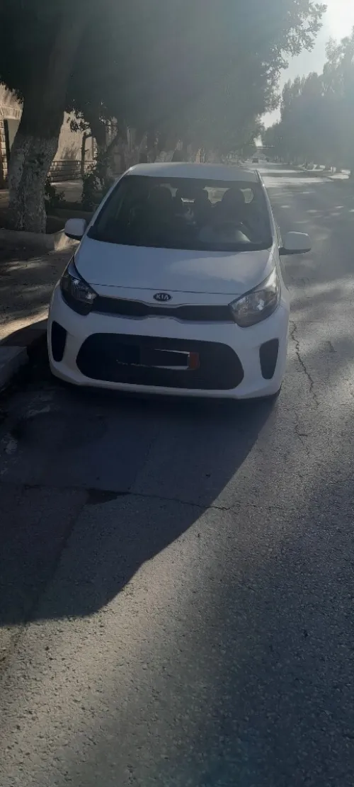 Kia Picanto 2019 LX Start