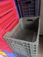 Palette en plastique