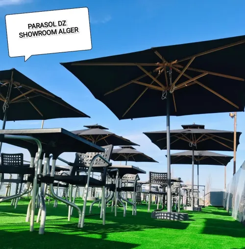 parasol