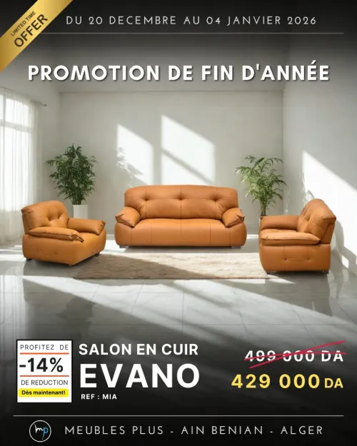 PROMO FIN D'ANNEE SALON