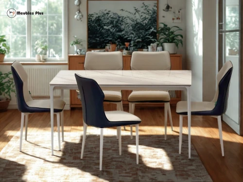 TABLE DE CUISINE AVEC 6 CHAISES