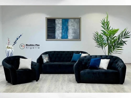 SALON 6 PLACES EN VELOURS