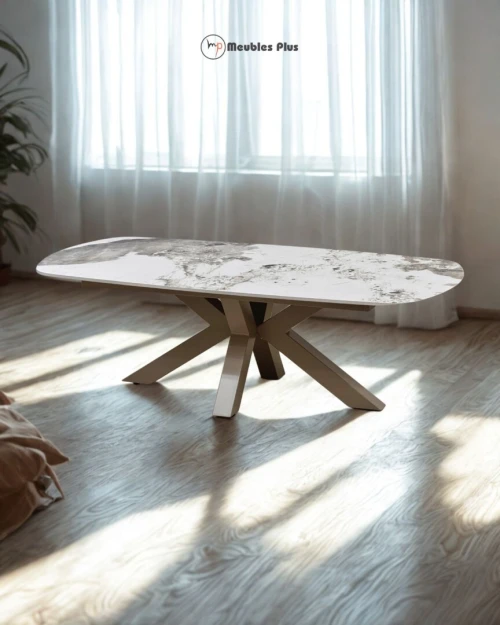 TABLE BASSE 