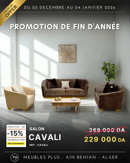 PROMO FIN D'ANNEE SALON