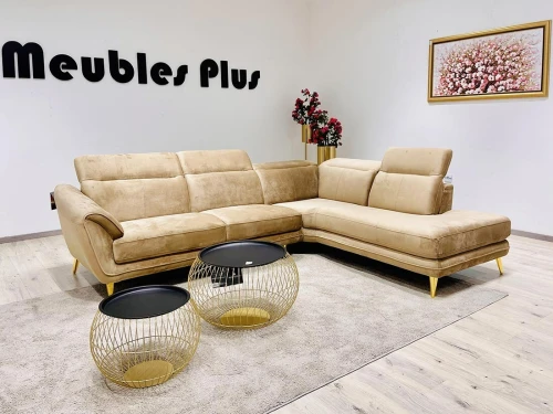 SALON L EN VELOURS