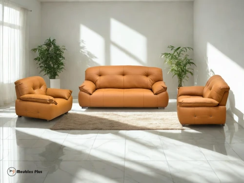 SALON 6 PLACES EVANO