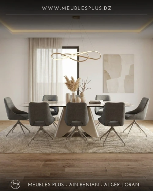 TABLE DE SALLE A MANGER 8 CHAISES