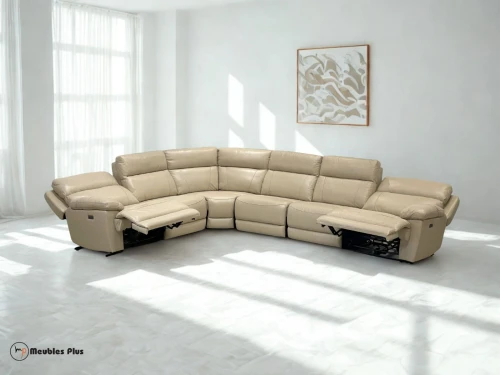 SALON L RELAX ELECTRIQUE EN CUIR
