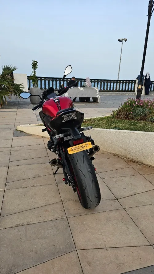 Kawasaki Z900 2024