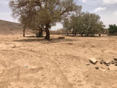 Vente Terrain Tamanrasset Tamanrasset