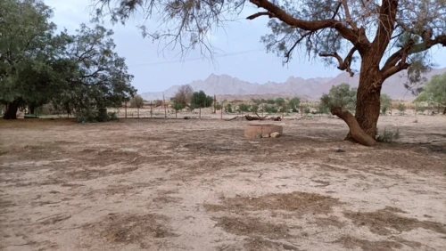 Vente Terrain Tamanrasset Tamanrasset