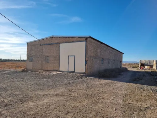 Vente Hangar M'Sila Ouled madhi