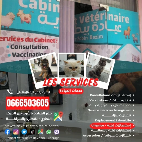 Cabinet Vétérinaire Chéraga Alger Dr Zobiri 