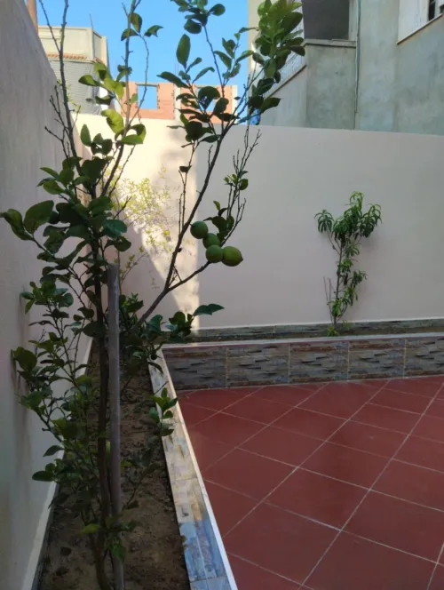 Vente Villa Blida Bougara