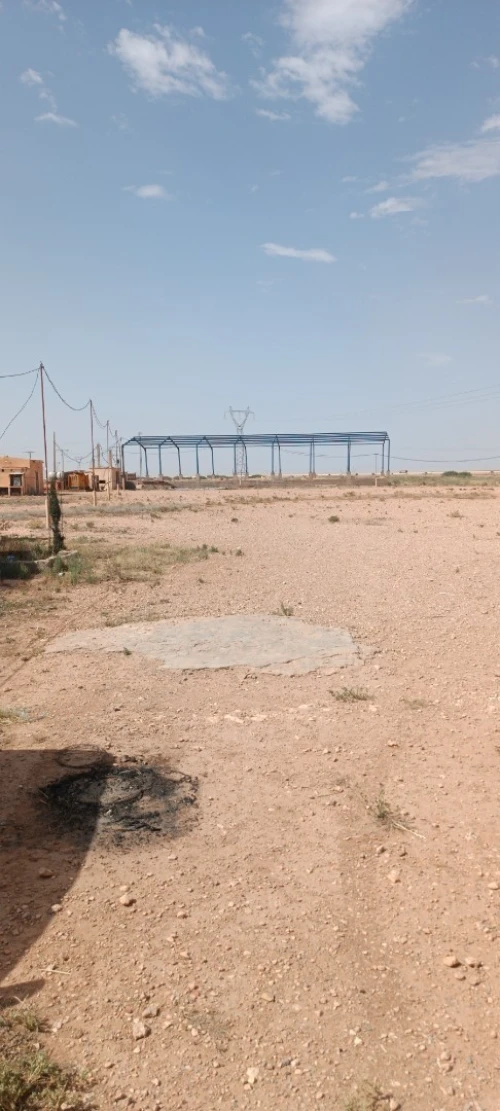 Vente Terrain Agricole Djelfa Ain oussara
