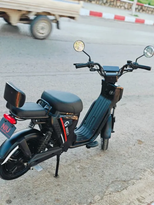 NIU Scooter G max1 2024