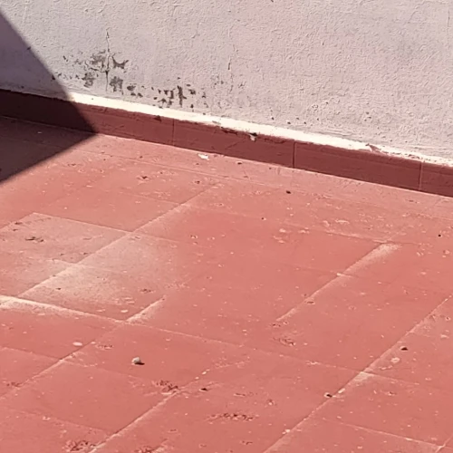 Vente Villa Guelma Oued zenati