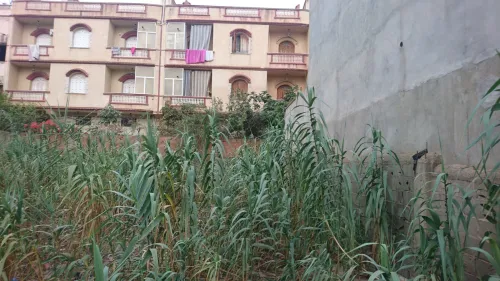 Vente Terrain Alger Bordj el kiffan