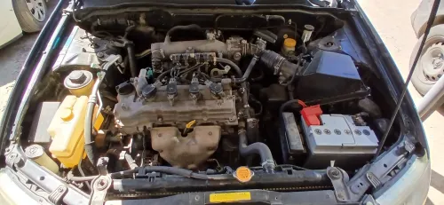 Nissan Sunny 2010 Sunny