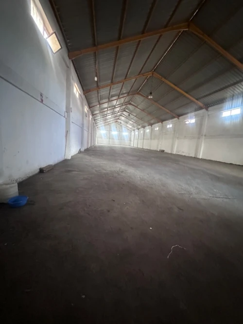 Location Hangar Alger Cheraga