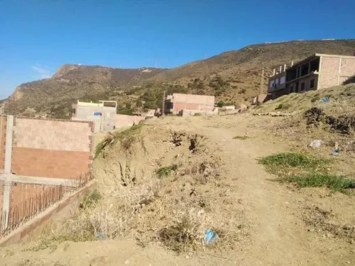 Vente Terrain Oran Marsat el hadjadj