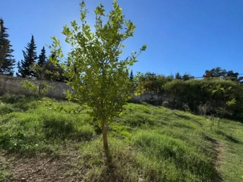 Vente Villa Béjaïa Bejaia