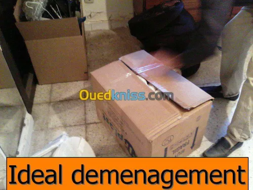DÉMÉNAGEMENT& TRANSPORT MANUTENTION .