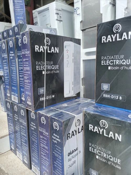 PROMO BAIN D'HUILE RAYLAN 13 ÉLÉMENTS 